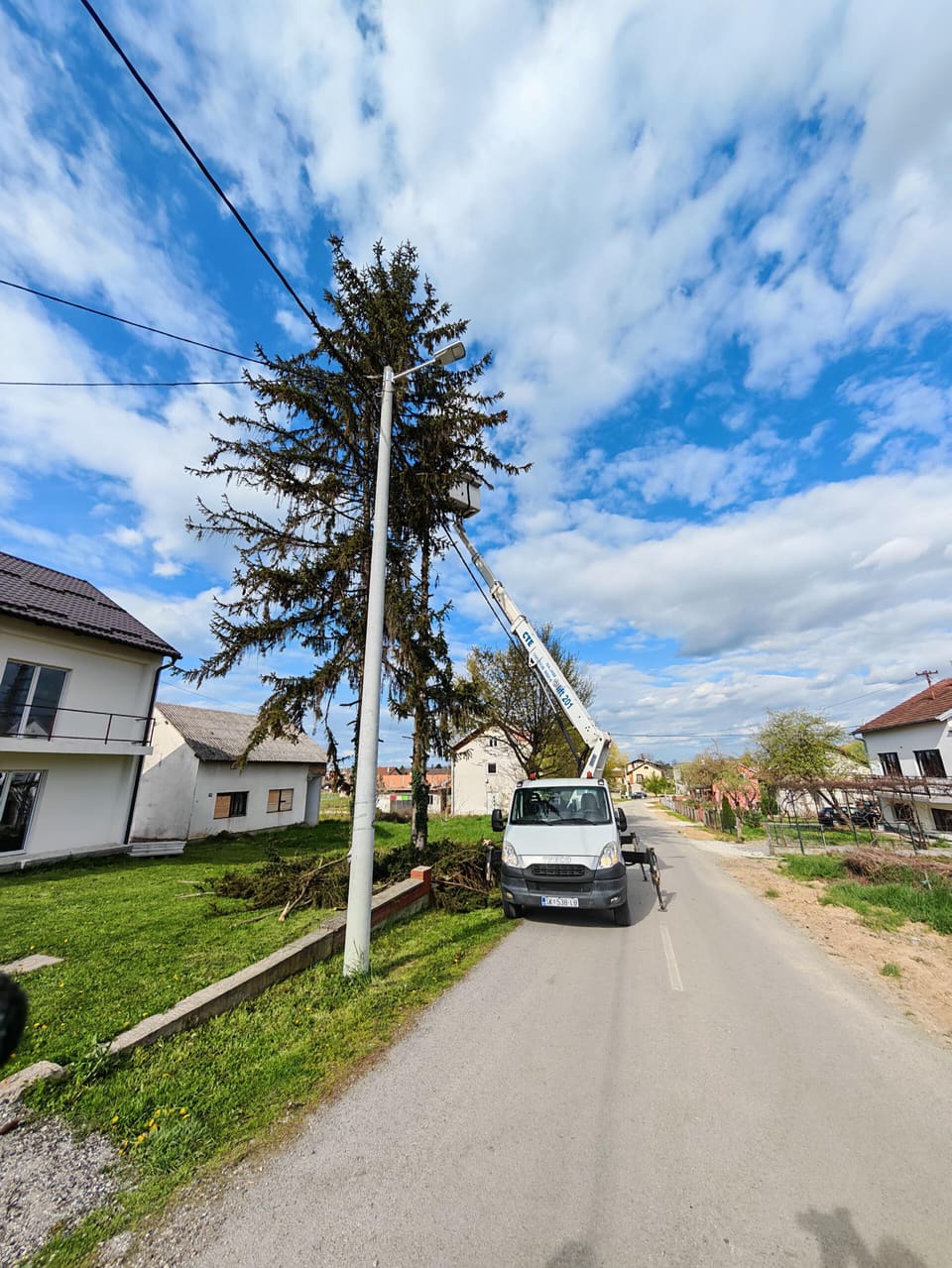 Autokošara uz cestu kod visokog crnogoričnog stabla